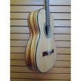 Guitarra de paloescrito